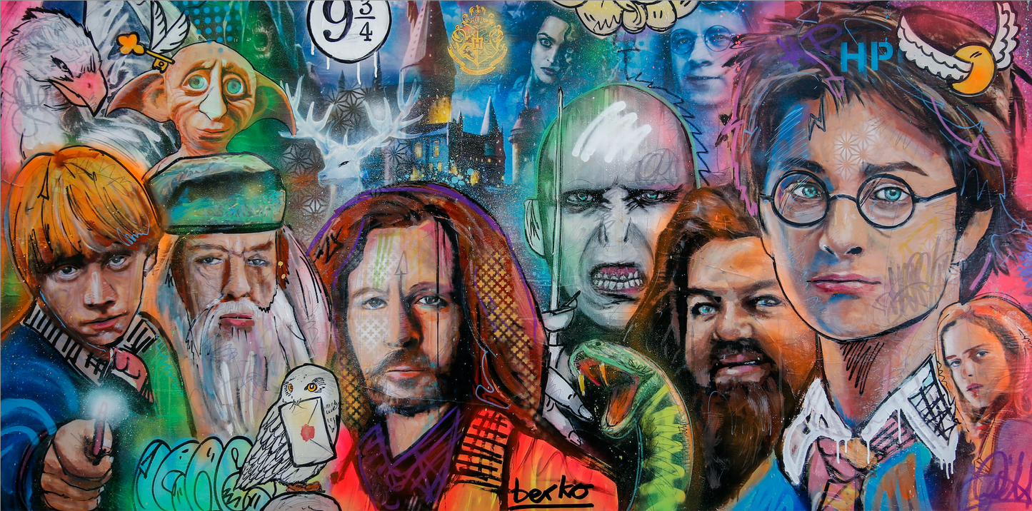 Harry Potter / Matte Canvas or Fine art paper / Open Edition